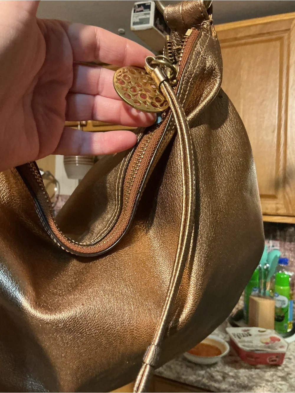 Coach Metallic Bronze Hobo Bag with COA